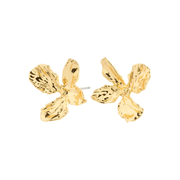 Dream Earrings