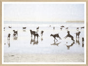 Dogs Day At The Beach Art - 28"x36"