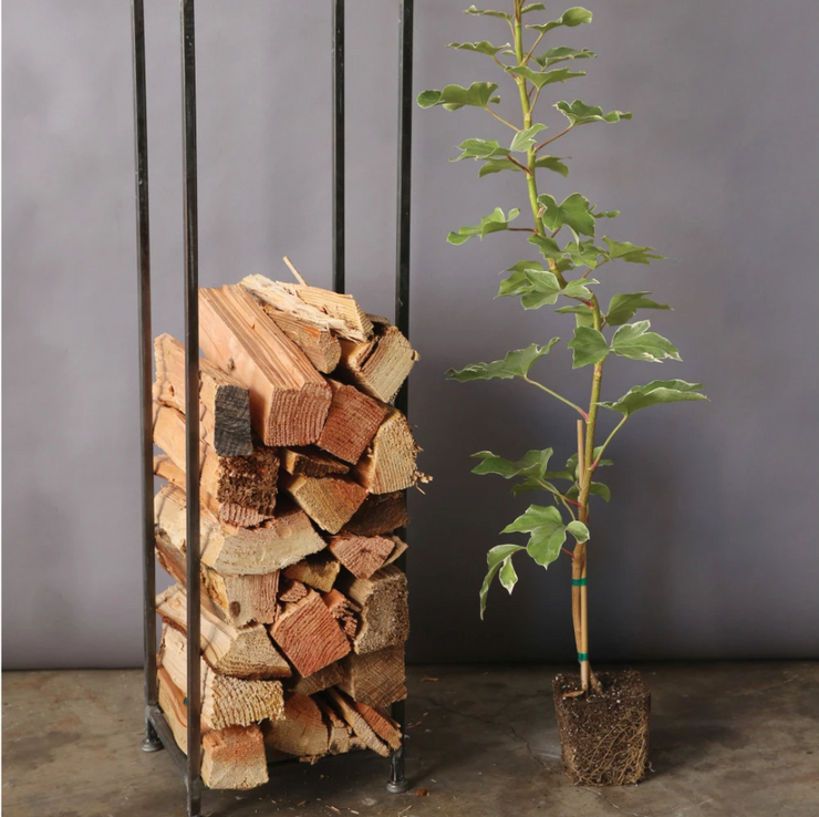 Metal house log holder sale