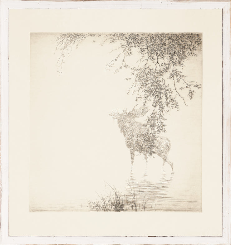 Shadows On The Awaga Art - 17.25"x16.25"