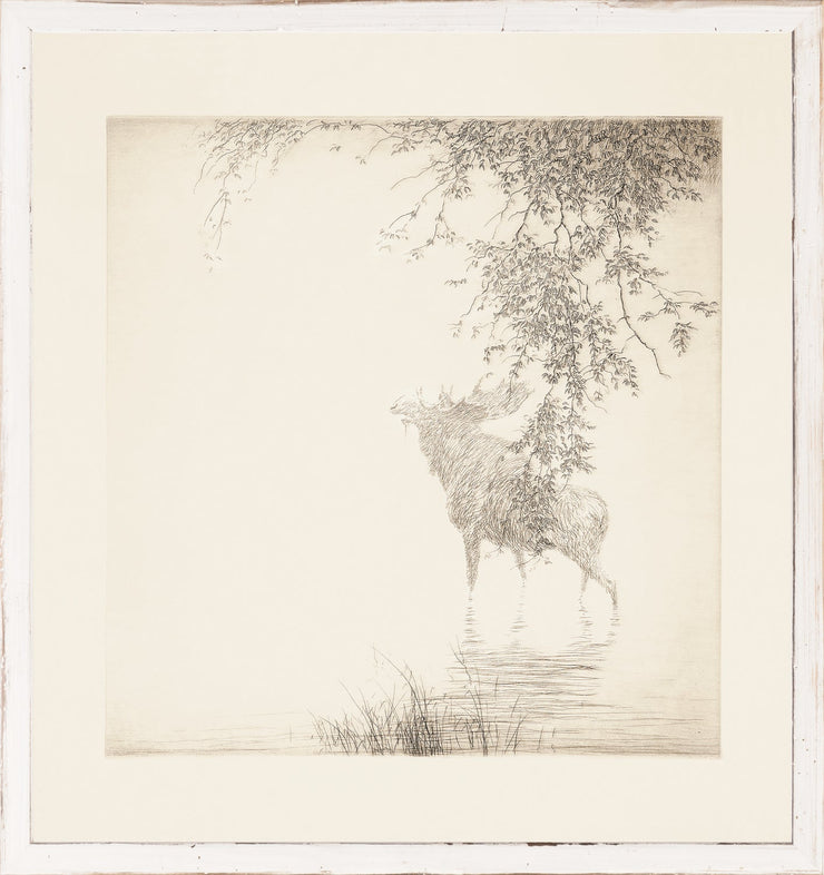 Shadows On The Awaga Art - 17.25"x16.25"