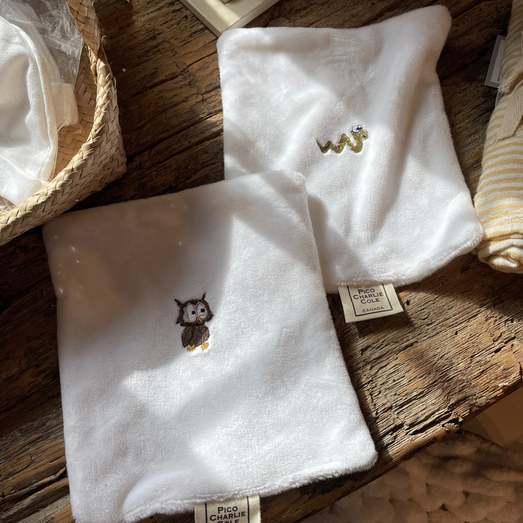 Baby Animal Wash Cloth