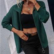 Knit Turtleneck Zip Solid Sweater